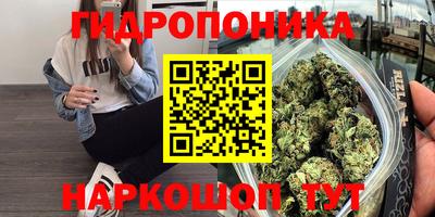 соль ск Канаш
