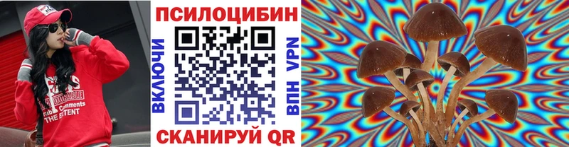Псилоцибиновые грибы Psilocybine cubensis  Еманжелинск 