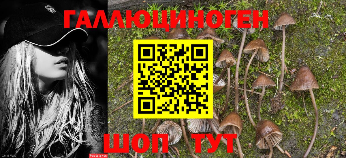 Псилоцибиновые грибы Psilocybe  купить наркотик  Еманжелинск  Вход с VPN 